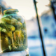 Illustration for article titled Case of the reappearing pickle jar has Saint Louis in a real...
